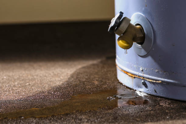 Best Ceiling water damage repair  in Ledgewood, NJ
