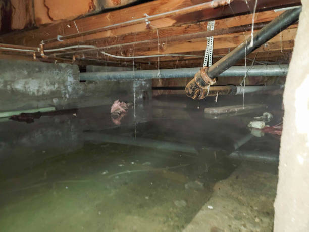 Best Emergency water damage restoration  in Ledgewood, NJ