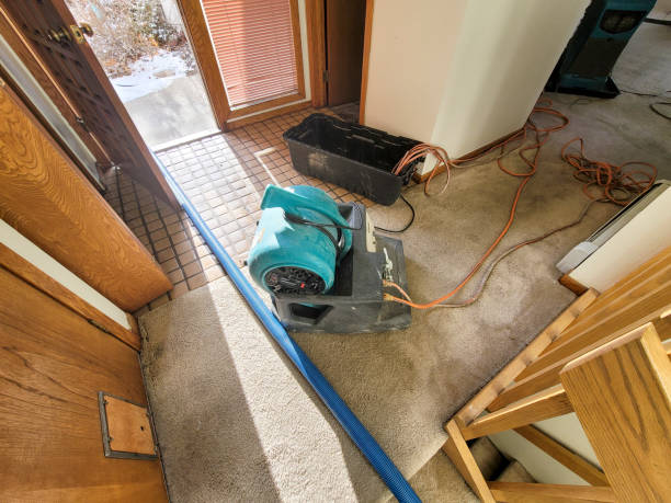Best Water damage restoration near me  in Ledgewood, NJ