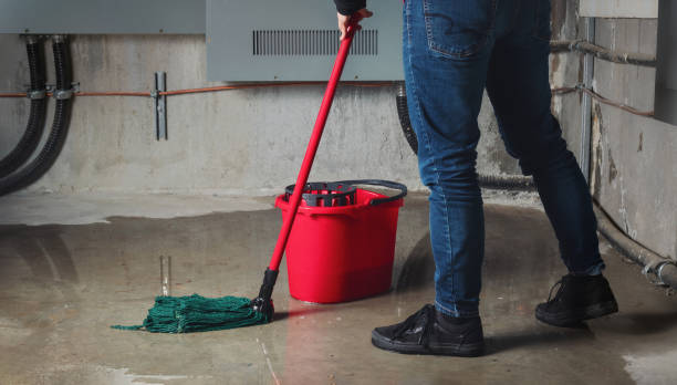 Best Water damage restoration near me  in Ledgewood, NJ