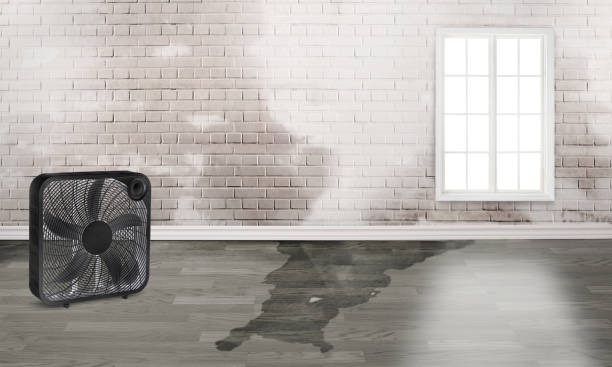 Best Water damage restoration near me  in Ledgewood, NJ