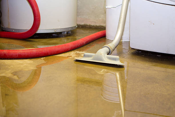 Best 24-hour water damage restoration  in Ledgewood, NJ