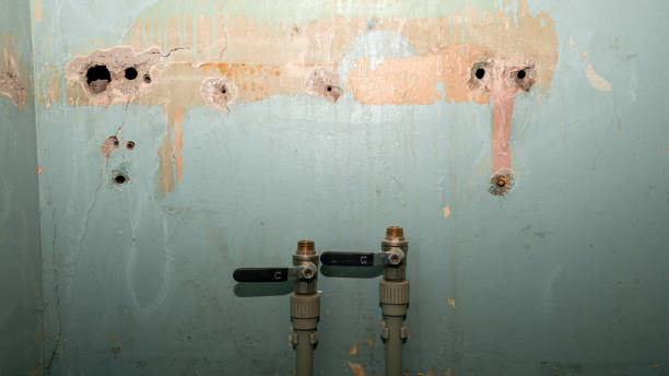 Best Local water damage restoration  in Ledgewood, NJ